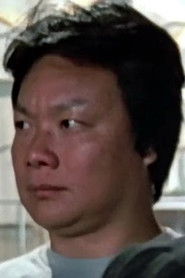 Mai Hồng